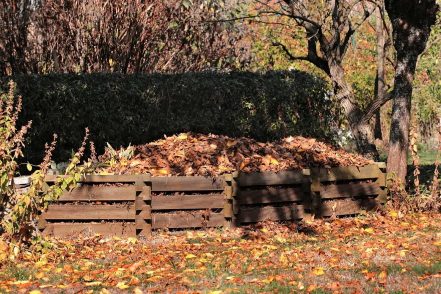 Kompost z podzimního listí 